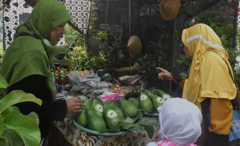 Alpukat Surokarsan