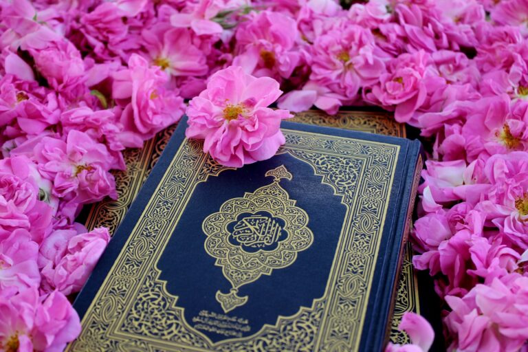 amirhadi-manavi-ztA6v1IRtq0-unsplash