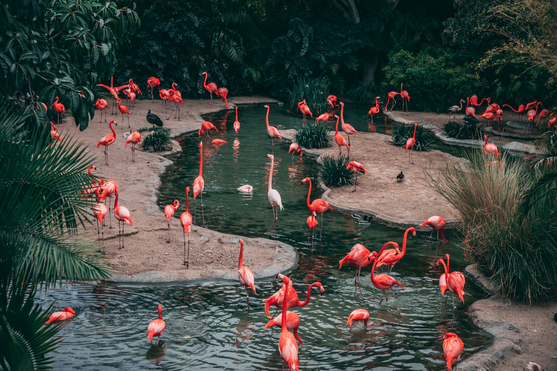 Harga Tiket Masuk Gembira Loka Zoo 2026, Update Weekday dan Weekend Terbaru