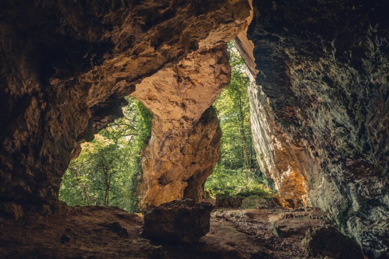 vincent-foret-zDyg7wfqjpE-unsplash