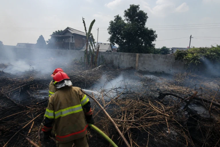 kebakaran lahan kota jogja
